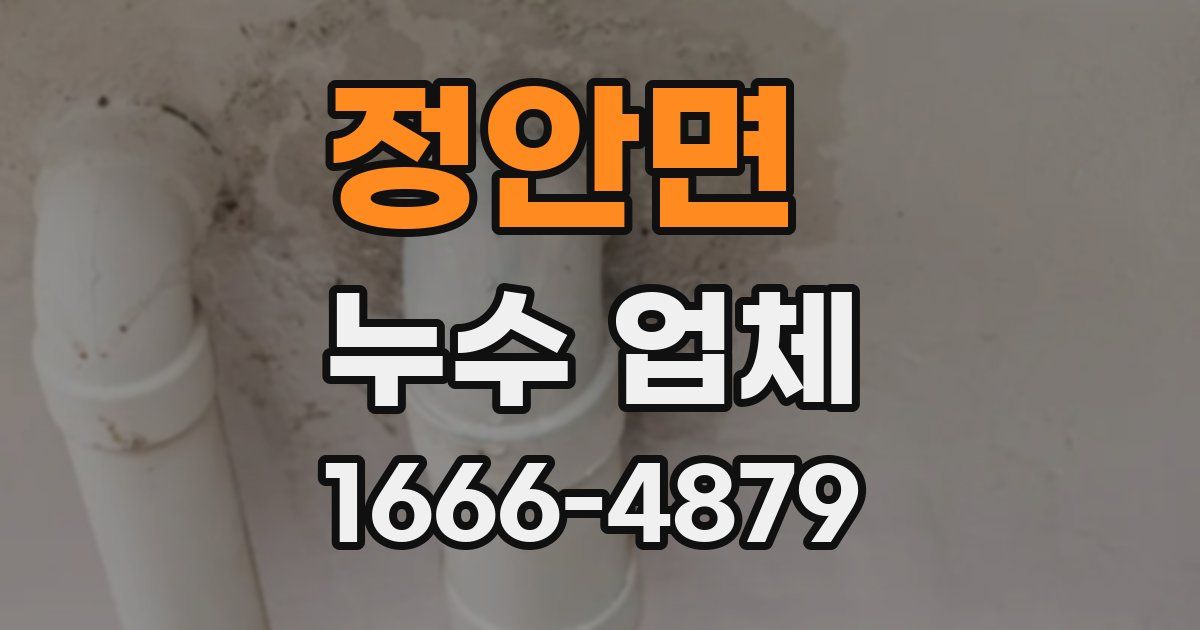 정안면 누수 업체