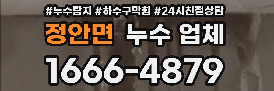 정안면 누수 업체
