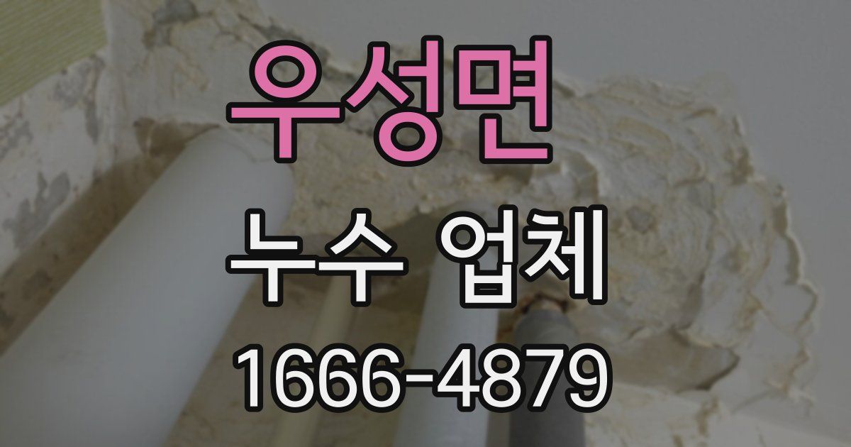 우성면 누수 업체