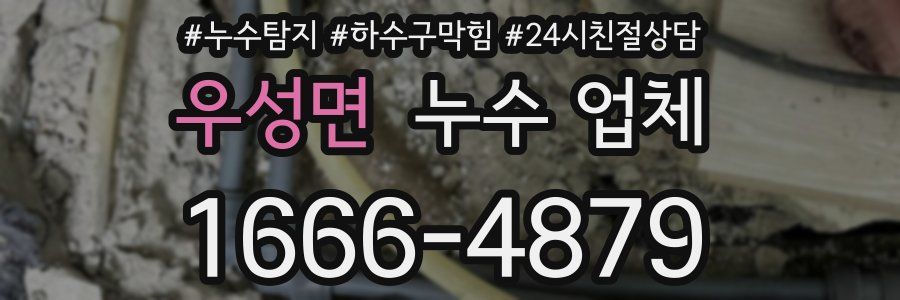 우성면 누수 업체