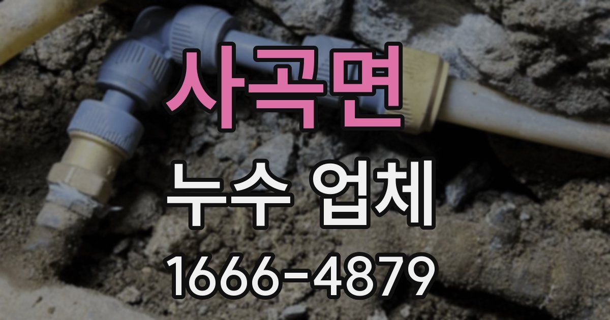 사곡면 누수 업체