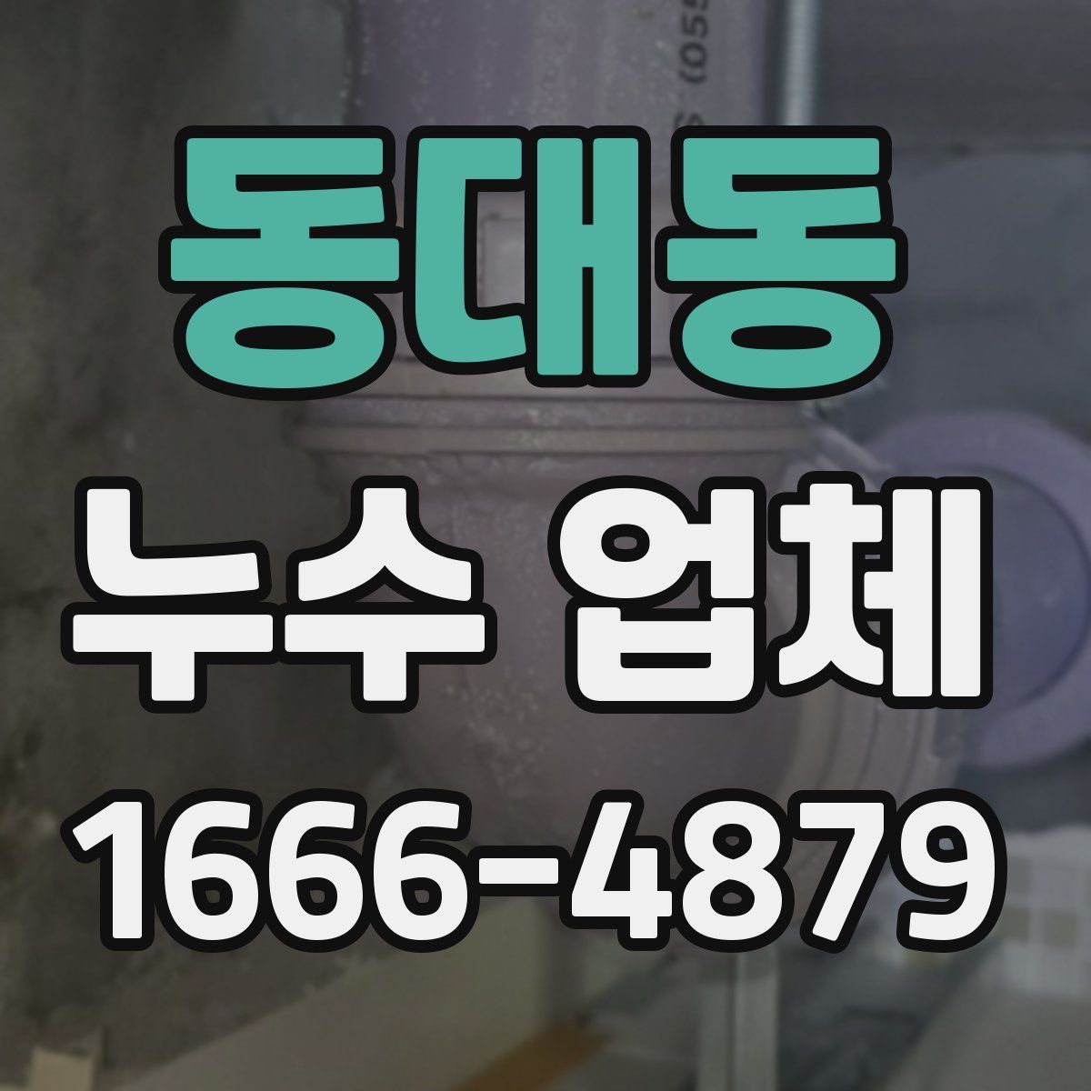 동대동 누수 업체