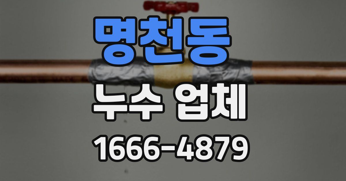 명천동 누수 업체