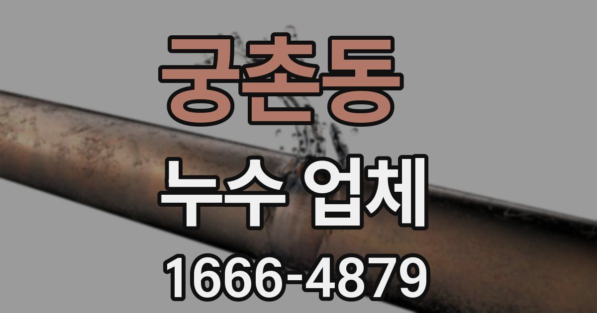 궁촌동 누수 업체