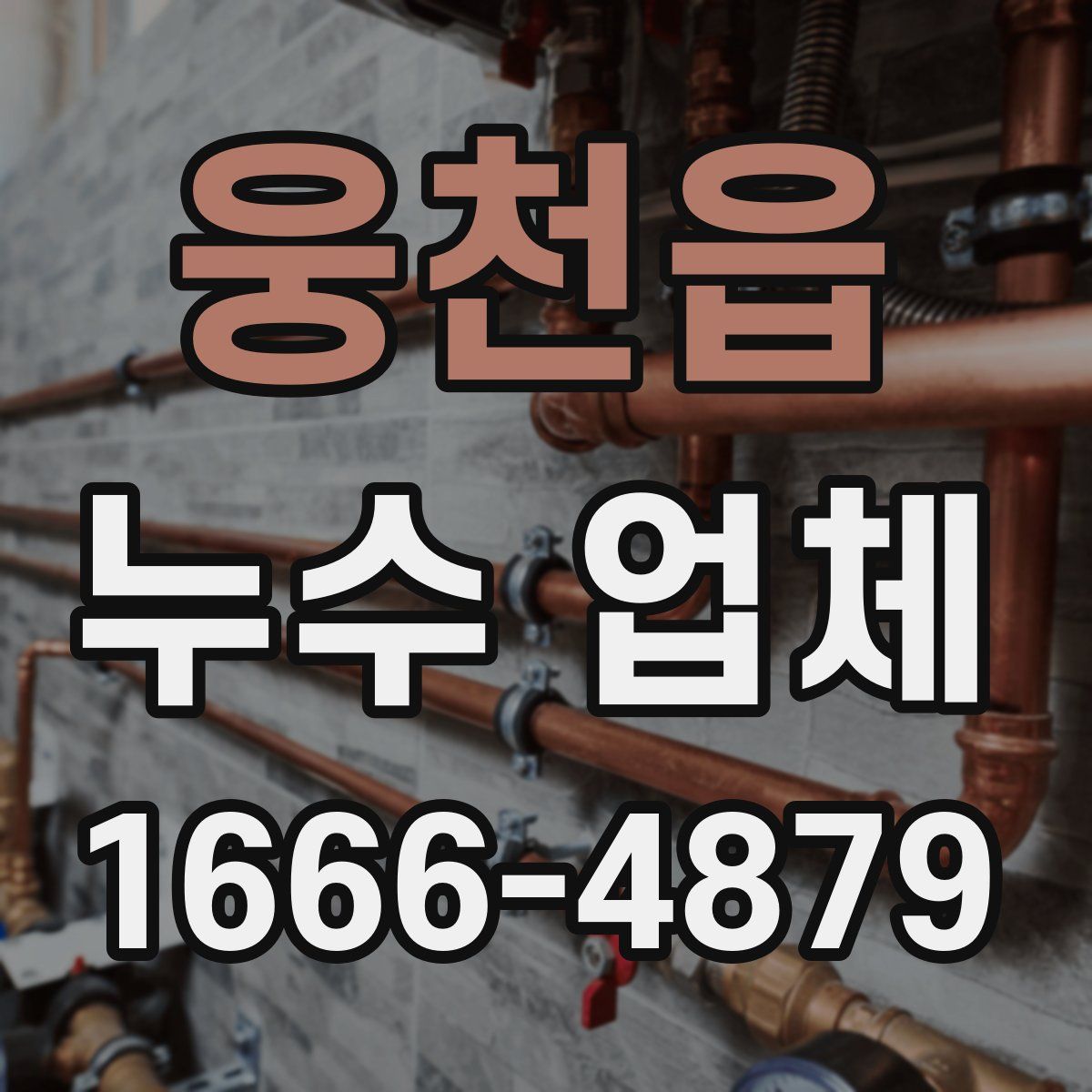 웅천읍 누수 업체