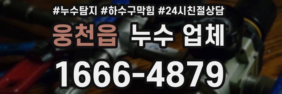 웅천읍 누수 업체