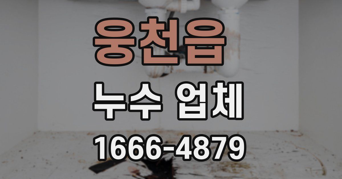웅천읍 누수 업체