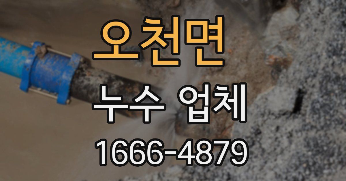 오천면 누수 업체