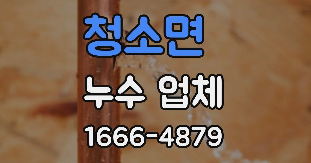 청소면 누수 업체