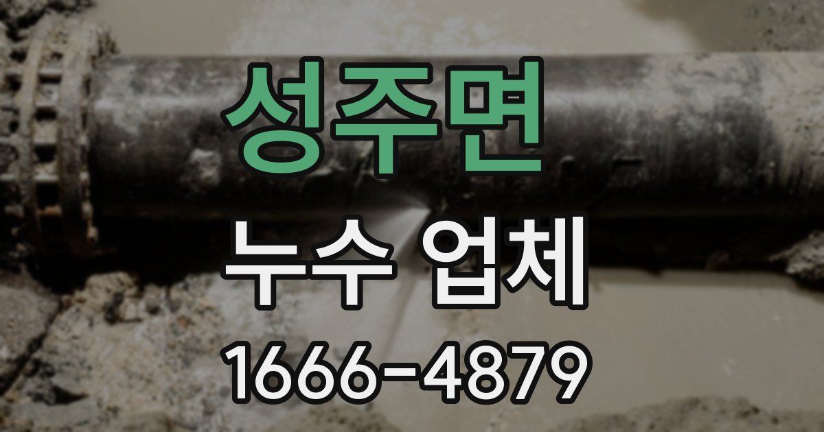 성주면 누수 업체