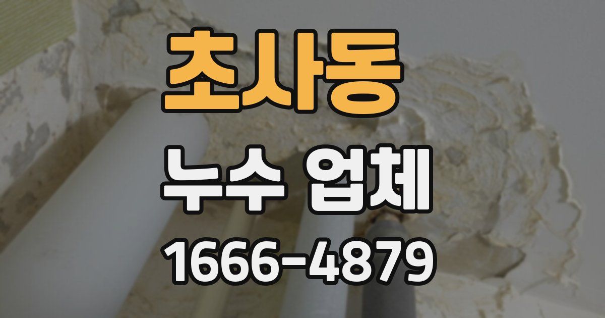 초사동 누수 업체