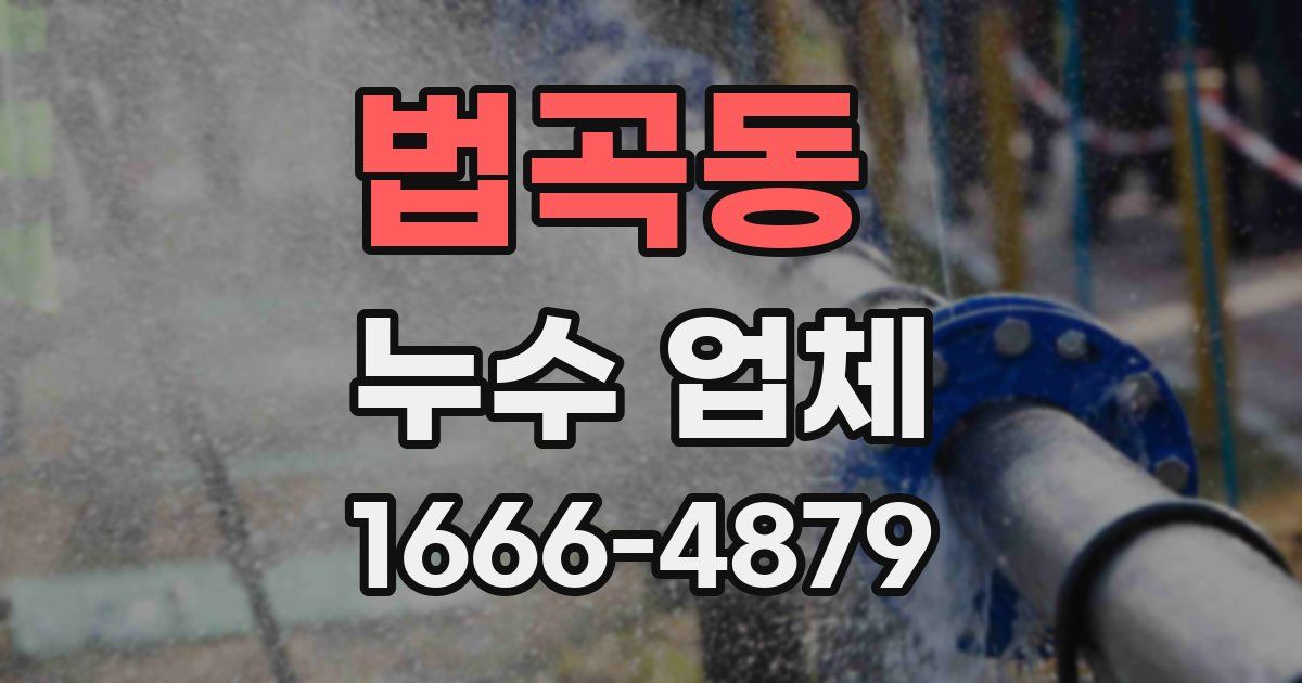 법곡동 누수 업체