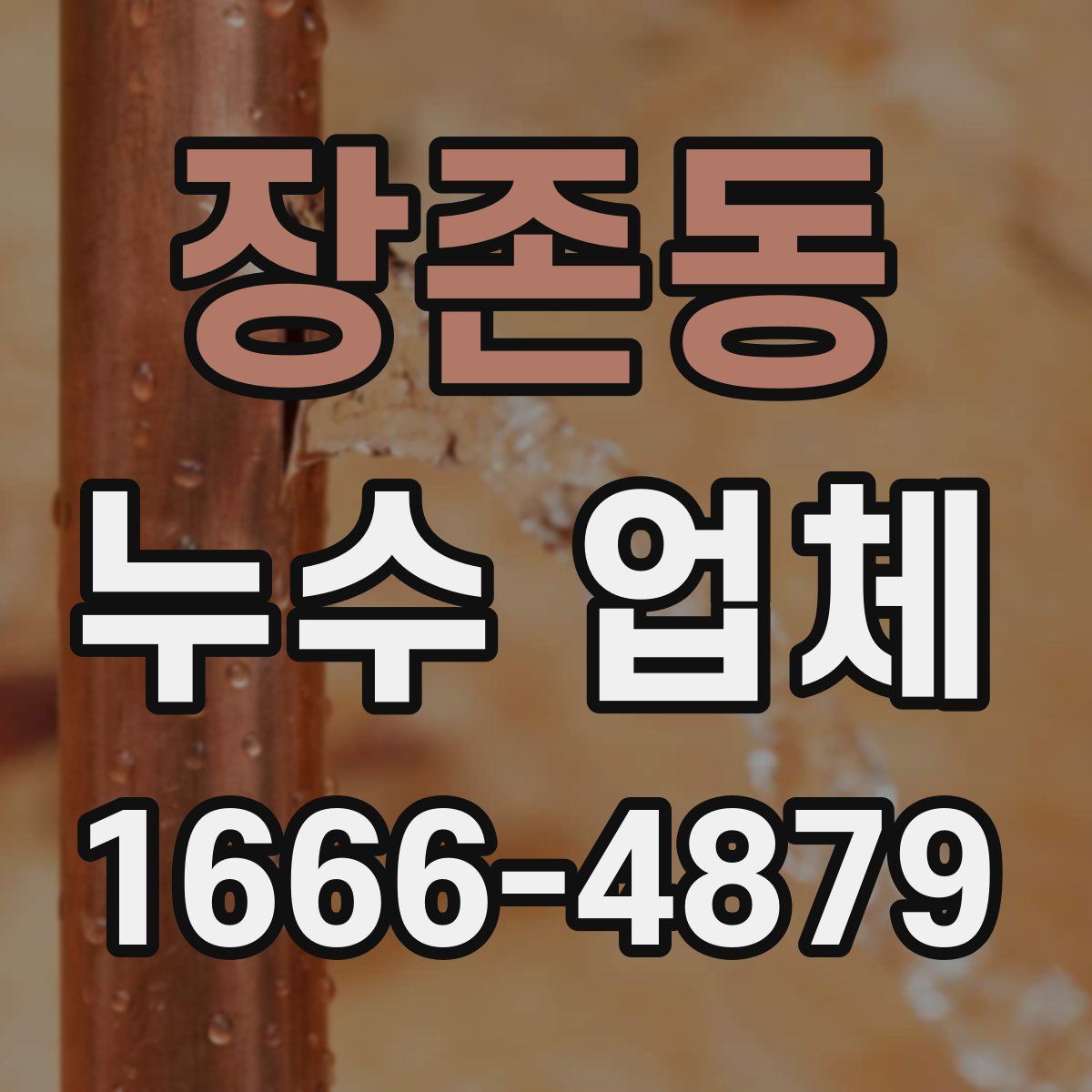 장존동 누수 업체