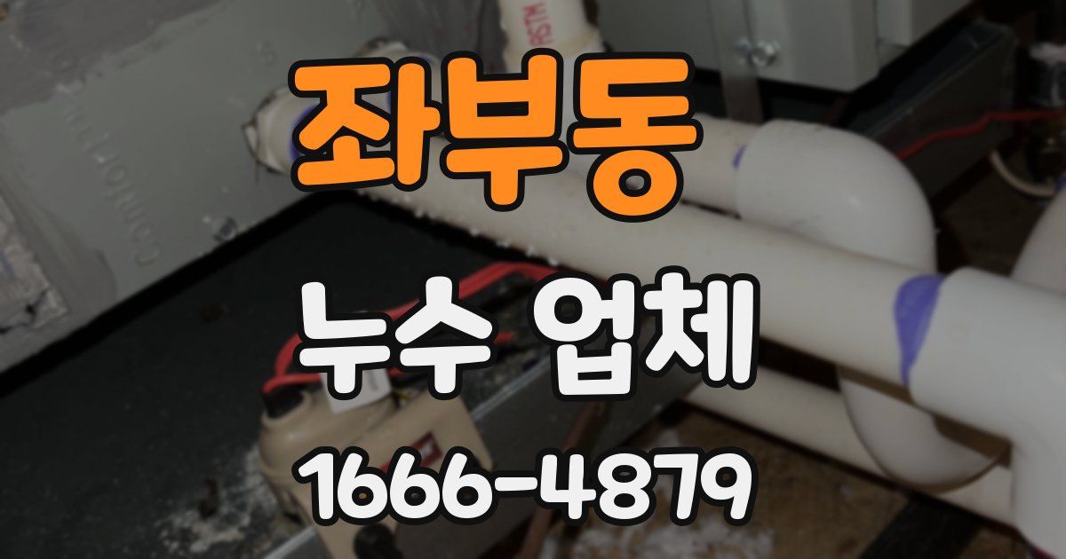 좌부동 누수 업체