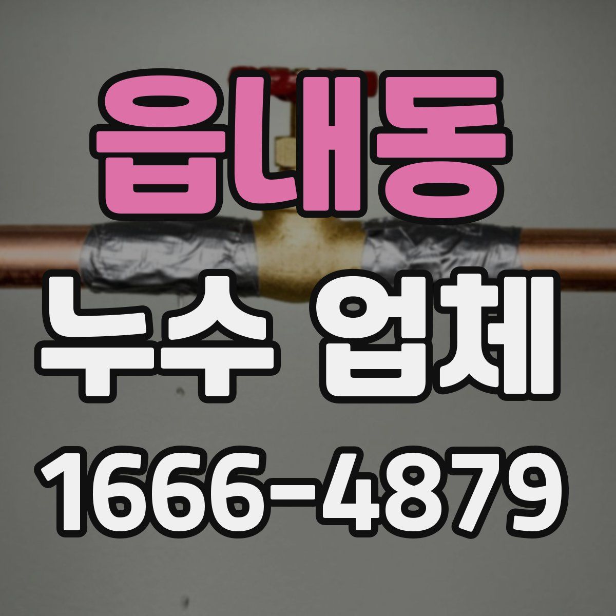 읍내동 누수 업체