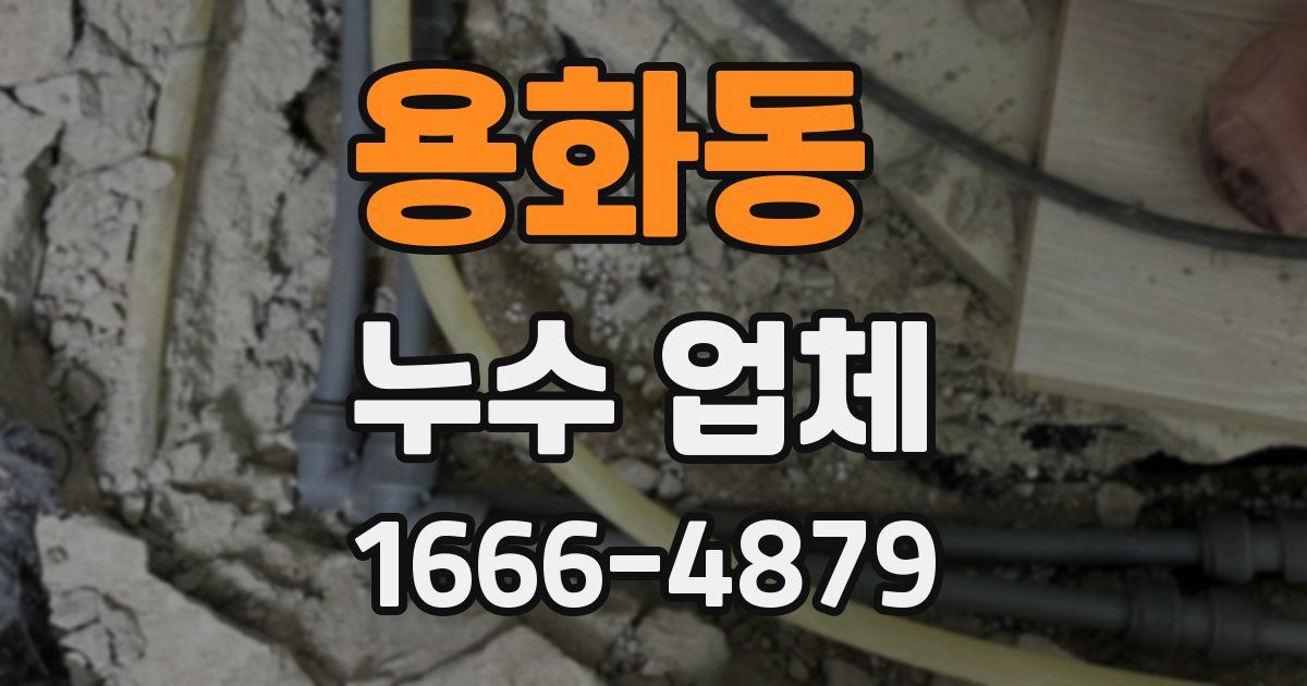 용화동 누수 업체