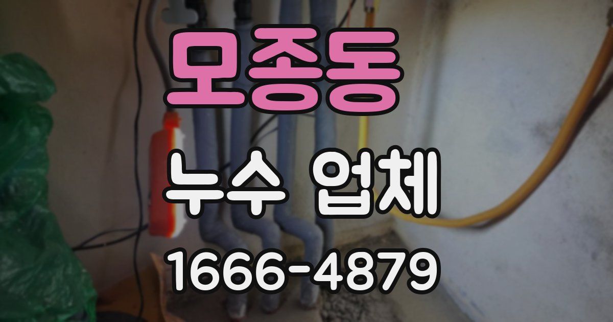 모종동 누수 업체
