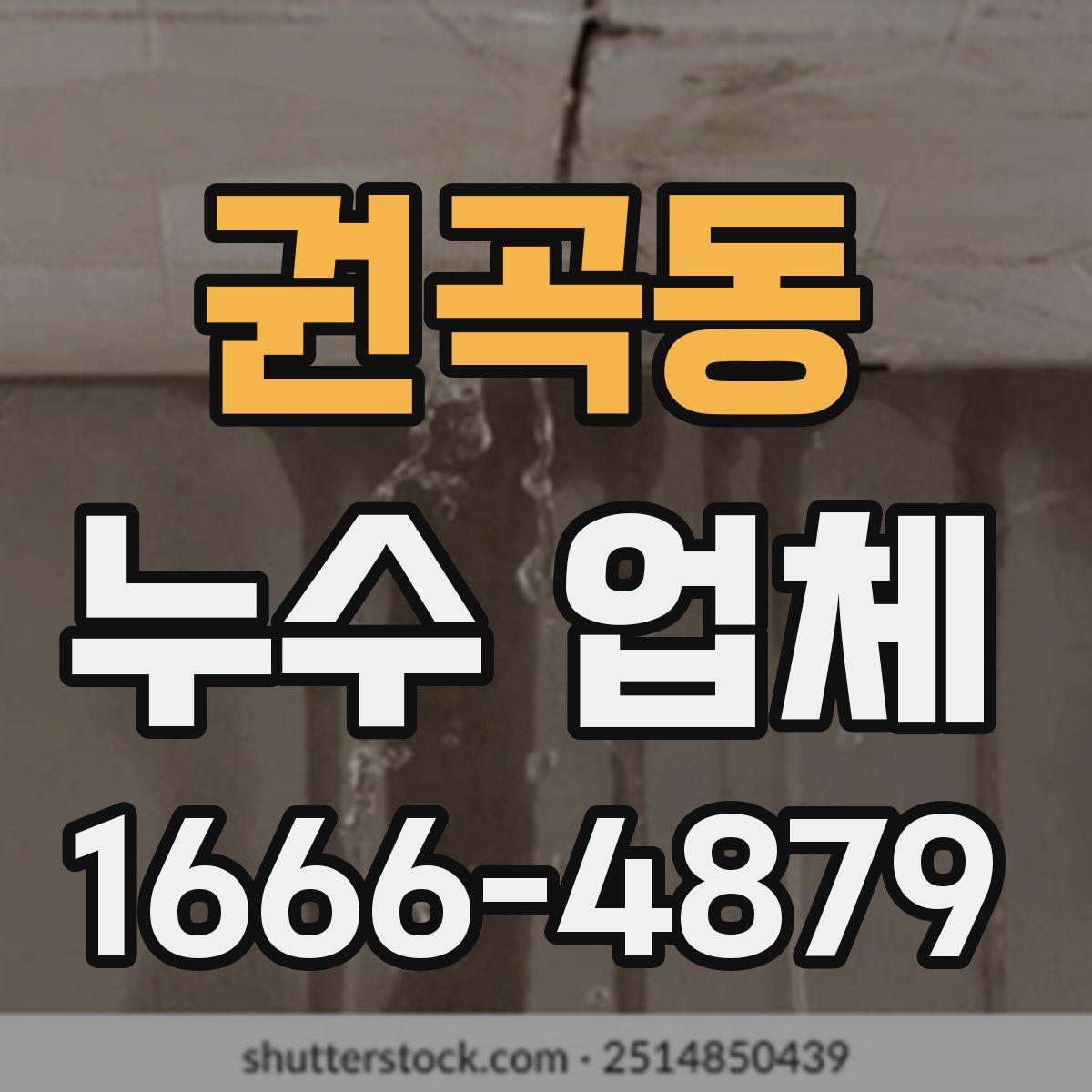 권곡동 누수 업체