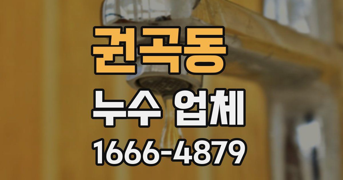권곡동 누수 업체