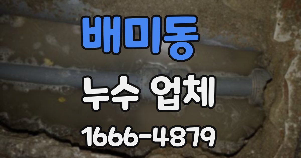 배미동 누수 업체