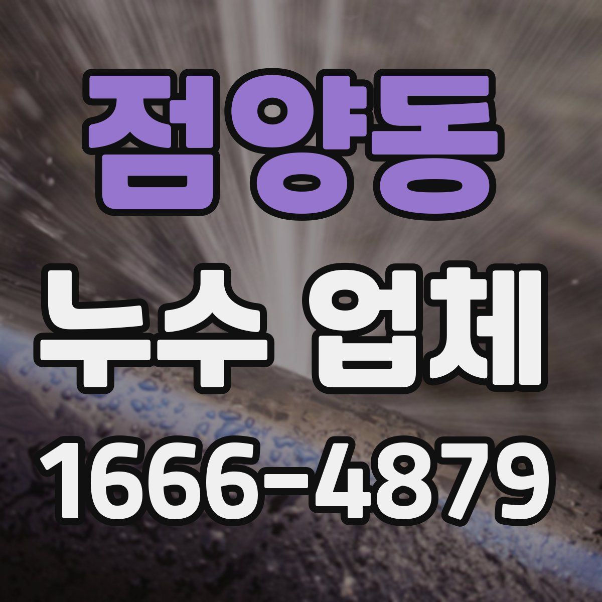 점양동 누수 업체
