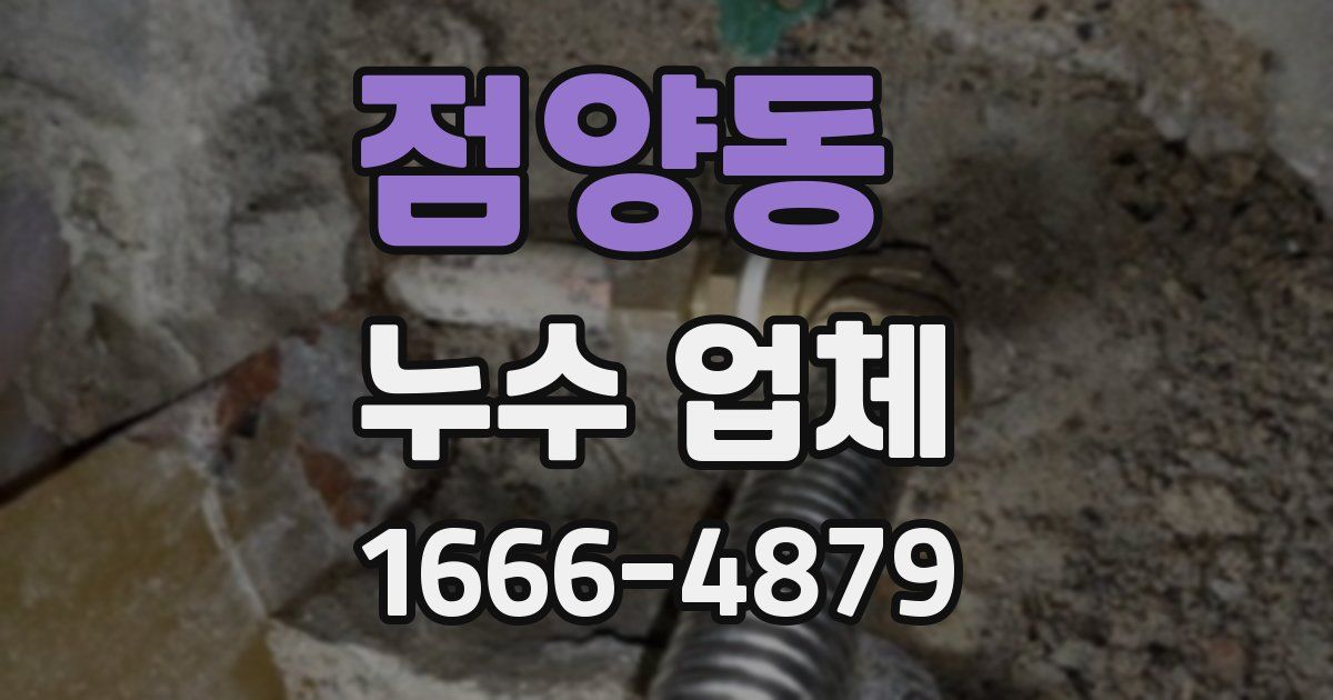 점양동 누수 업체