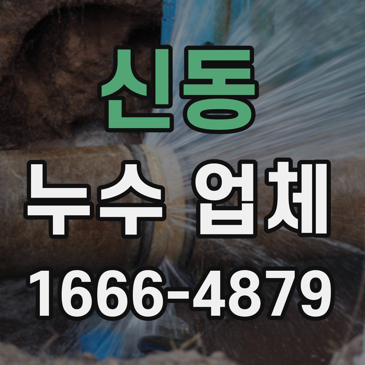 신동 누수 업체
