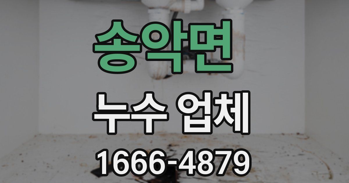 송악면 누수 업체