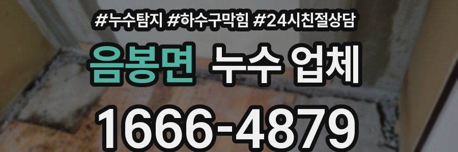 음봉면 누수 업체