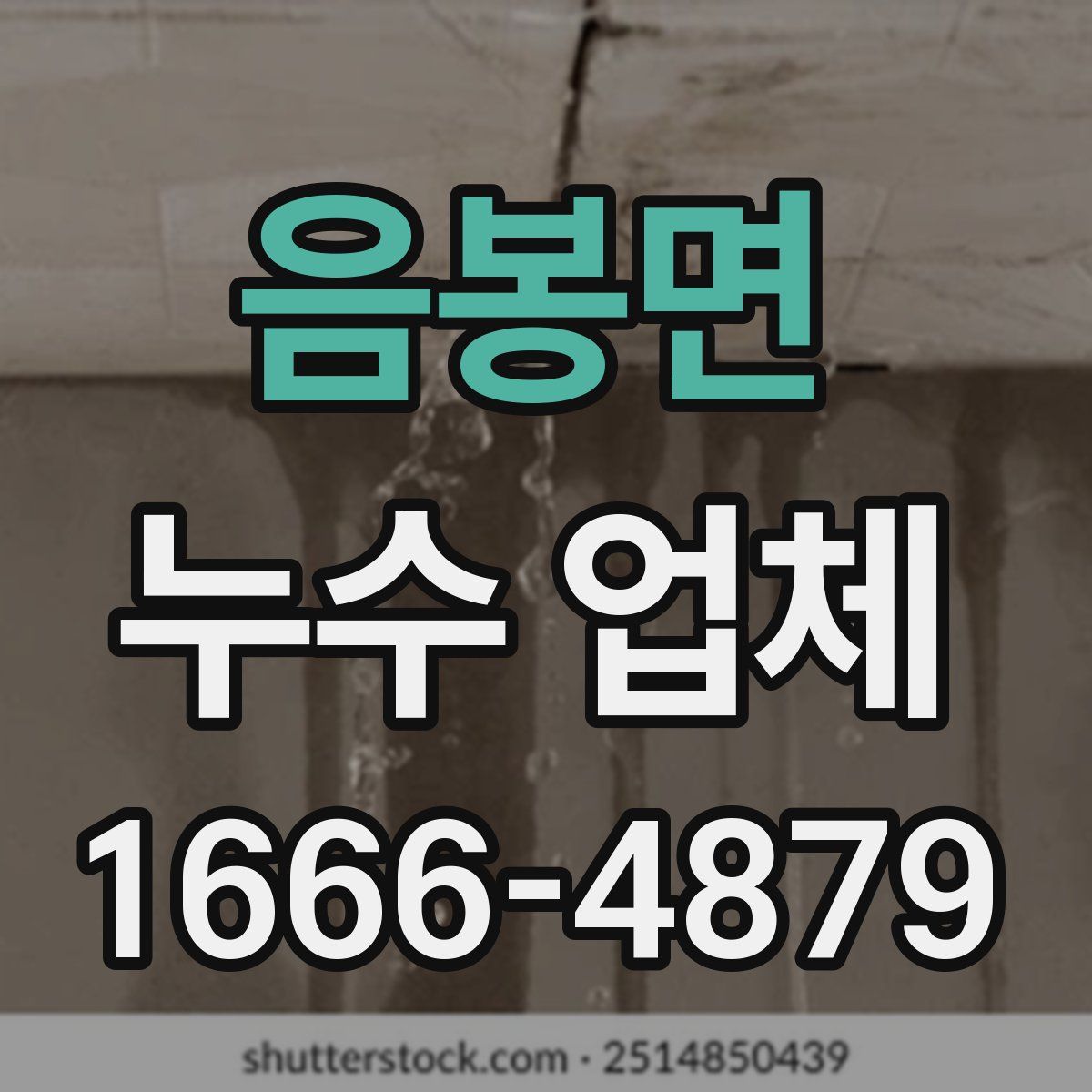음봉면 누수 업체