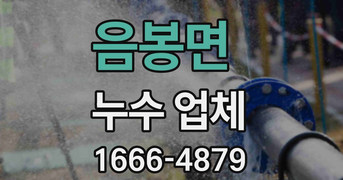 음봉면 누수 업체