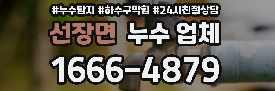 선장면 누수 업체