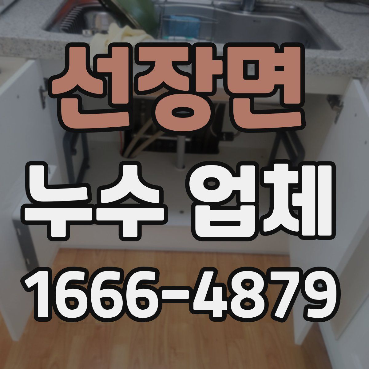 선장면 누수 업체