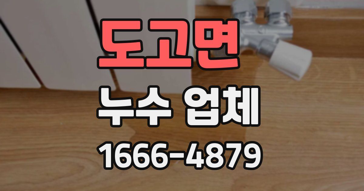 도고면 누수 업체