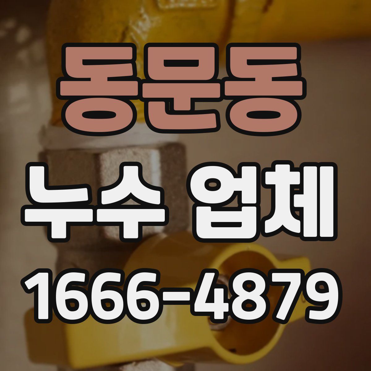 동문동 누수 업체