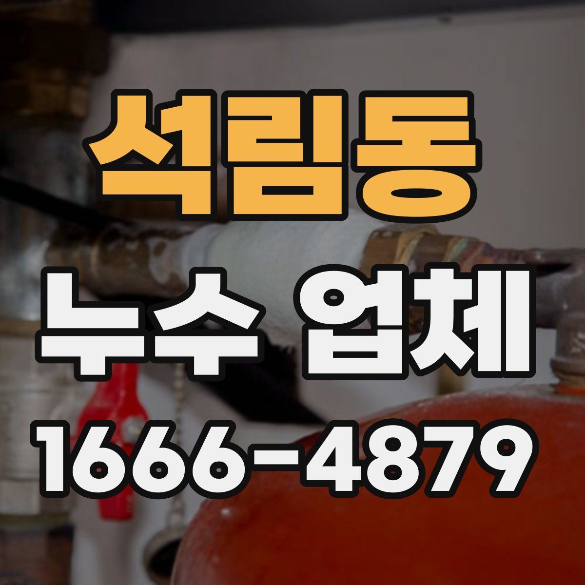 석림동 누수 업체