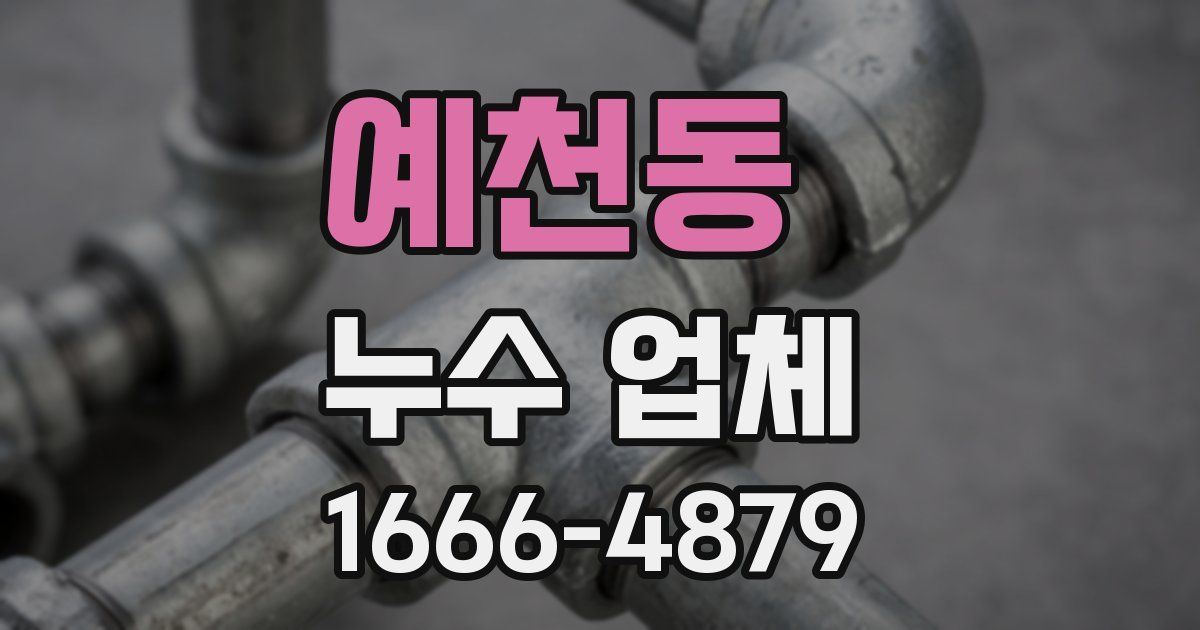 예천동 누수 업체
