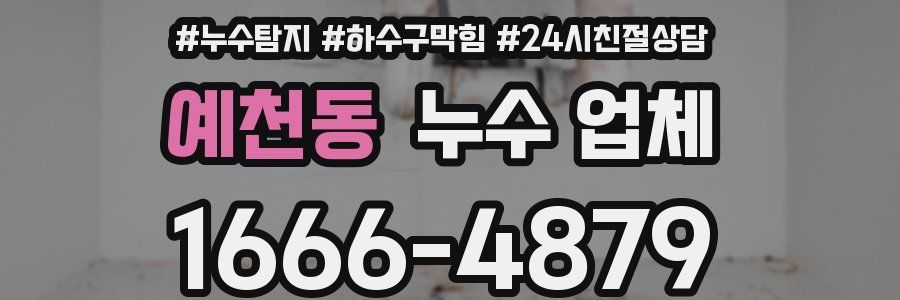 예천동 누수 업체