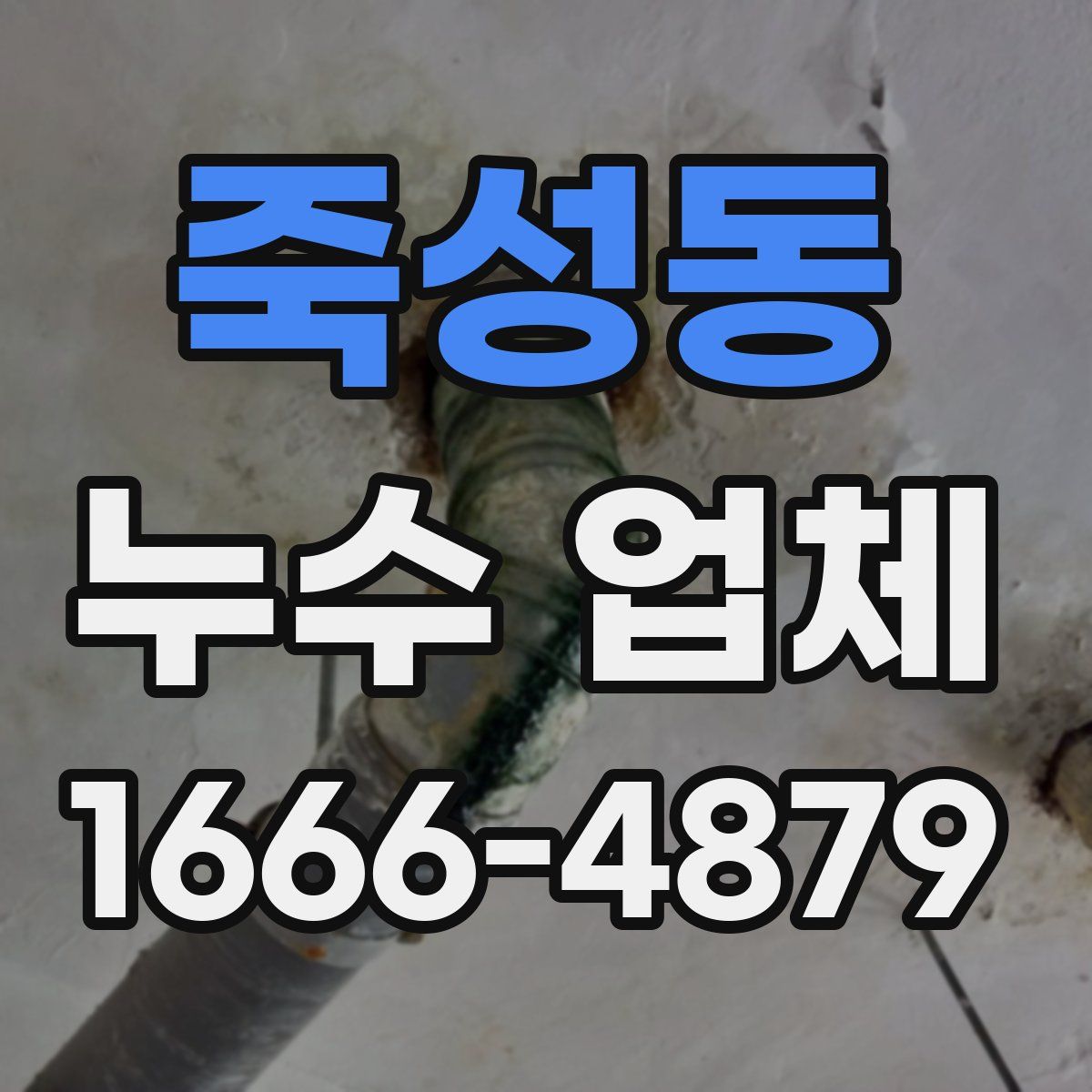죽성동 누수 업체