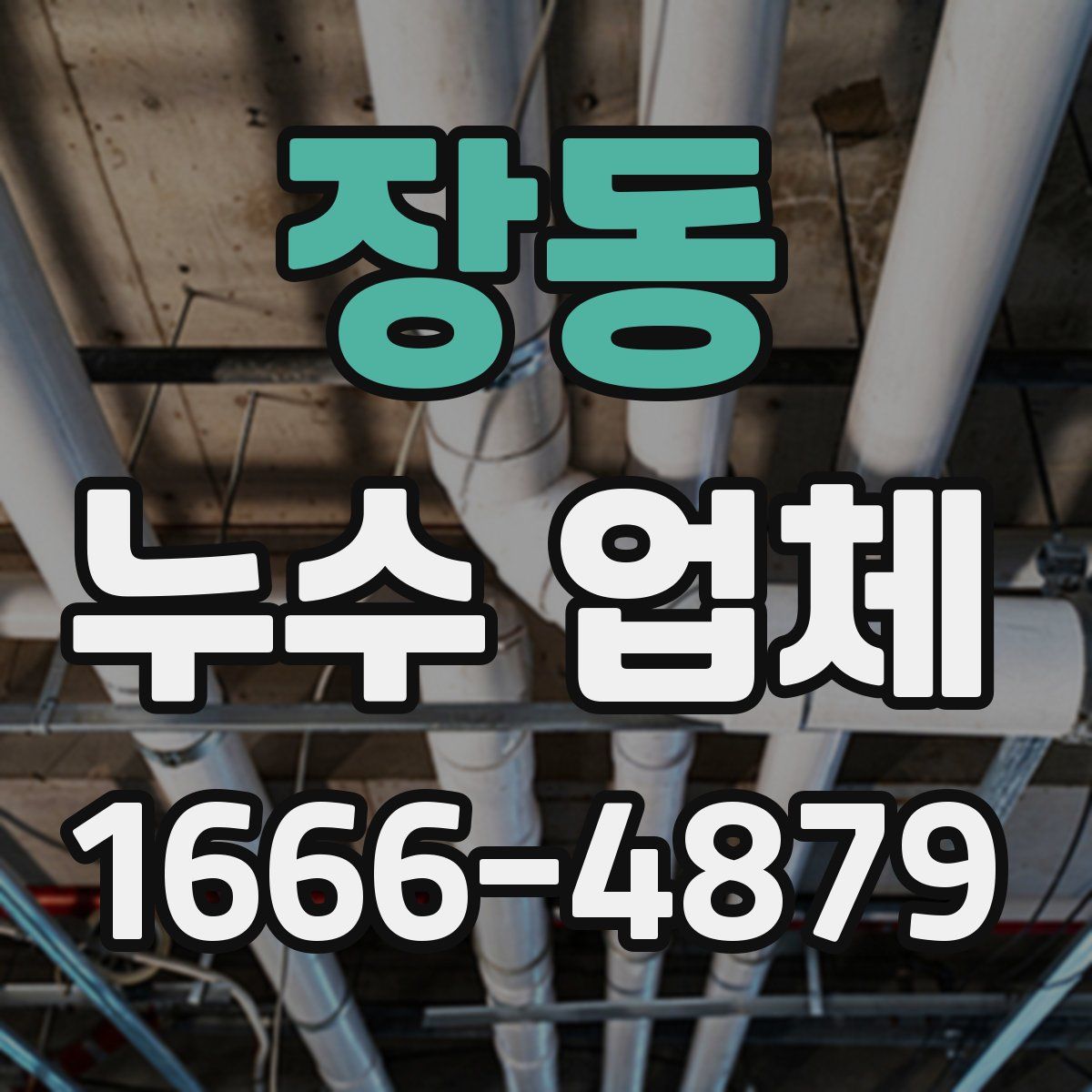 장동 누수 업체