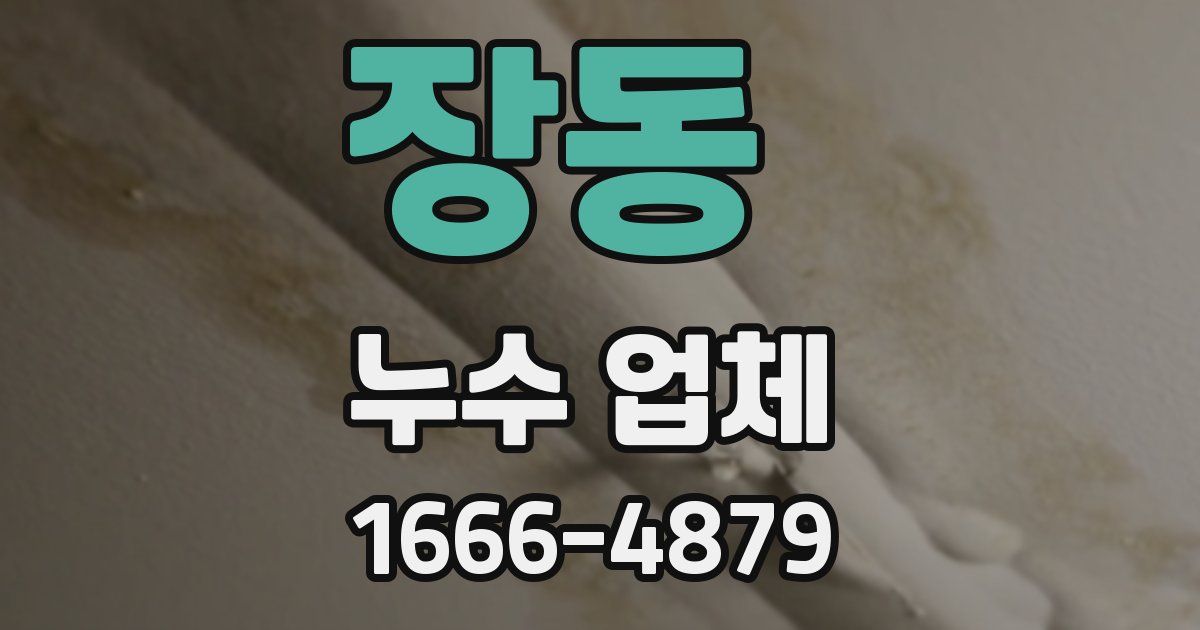장동 누수 업체