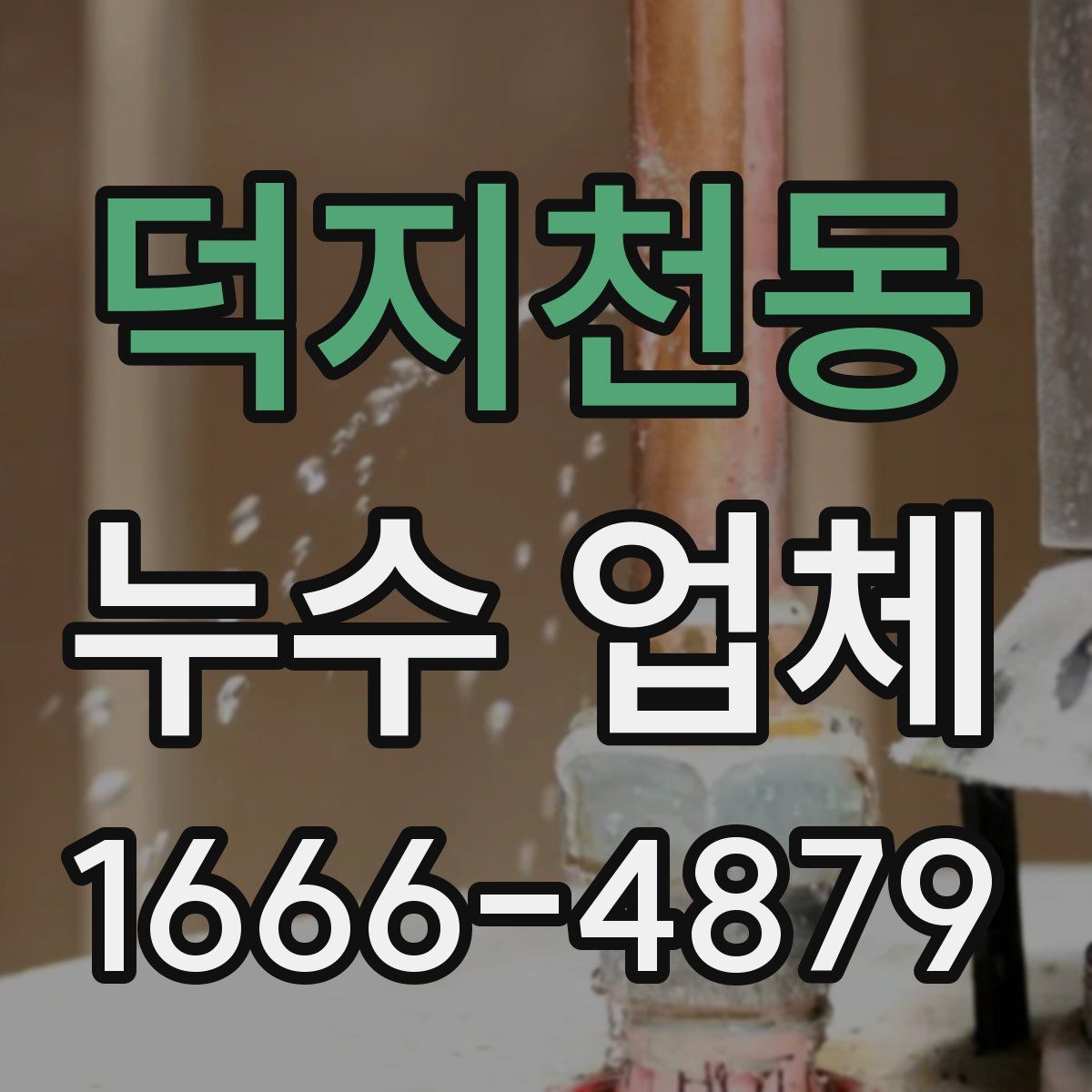 덕지천동 누수 업체