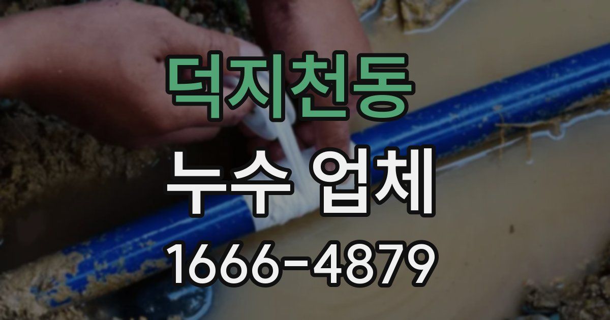 덕지천동 누수 업체
