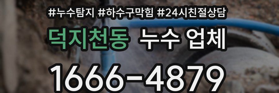 덕지천동 누수 업체