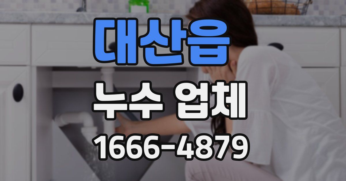 대산읍 누수 업체