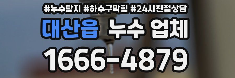 대산읍 누수 업체