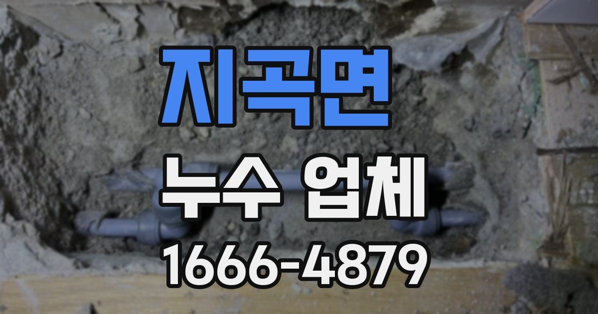 지곡면 누수 업체