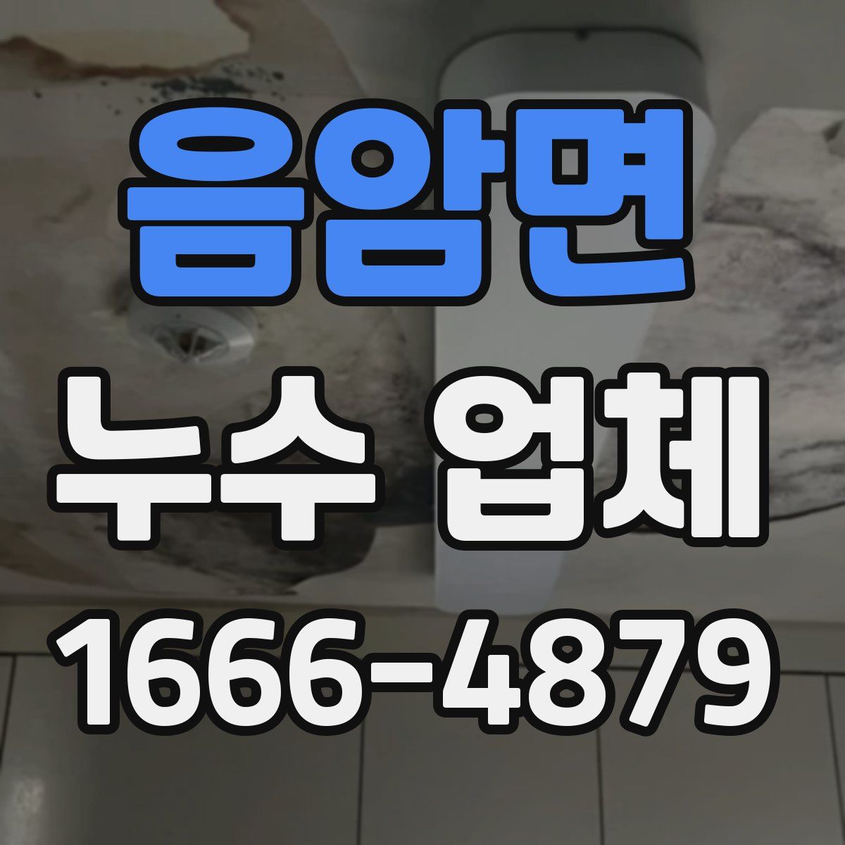 음암면 누수 업체