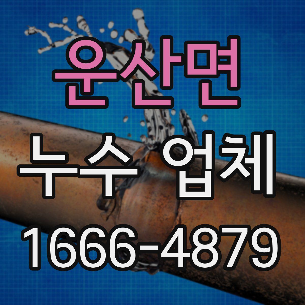 운산면 누수 업체