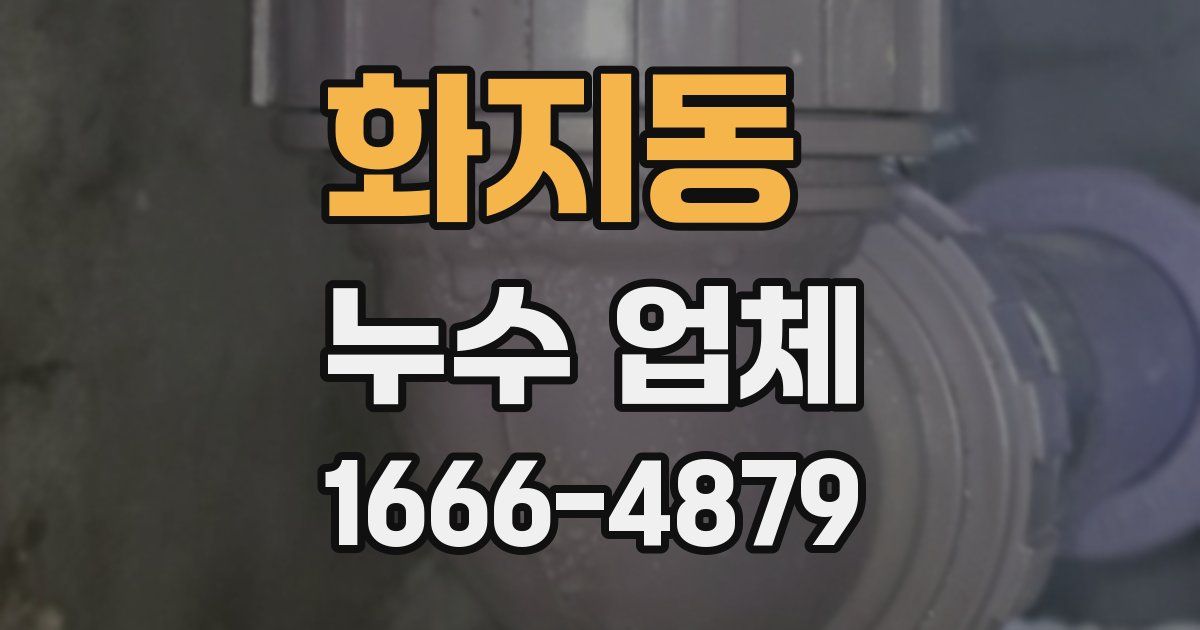화지동 누수 업체